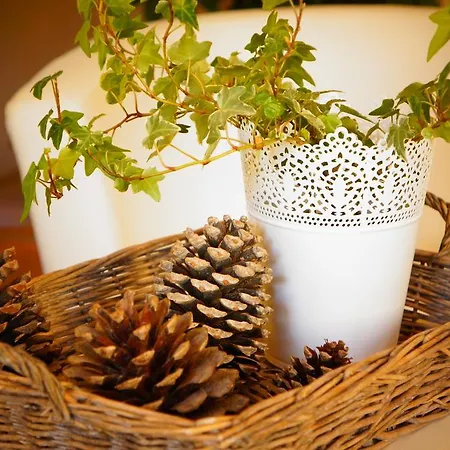Bed & Breakfast Ker Neizh Breizh - D'hotes - Le Petit Chatelier